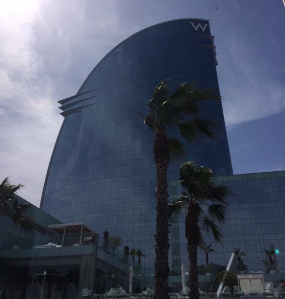 13062208_1172127076151076_238682426854290747_n