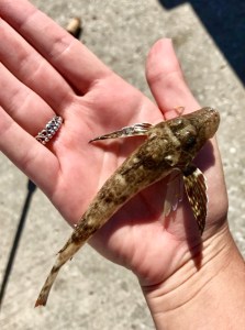 2273E726-4DE1-46D0-8C2B-E782AA4648F1