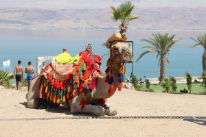 67953924_2627654743931628_210629044486537216_o