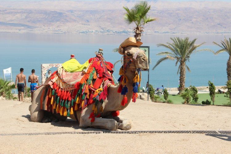 67953924_2627654743931628_210629044486537216_o