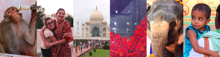 Untitled design (13)